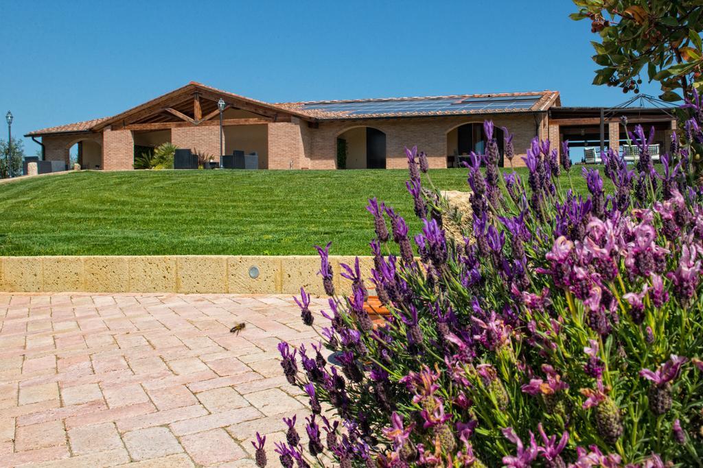 Agriturismo Deni Apartment Cenaia Exterior photo